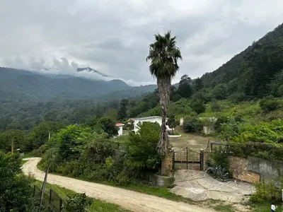 ویلا دوخوابه جنگلی بهشت باستان ٢