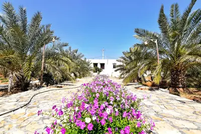 بومگردی سلت - واحد چوپان