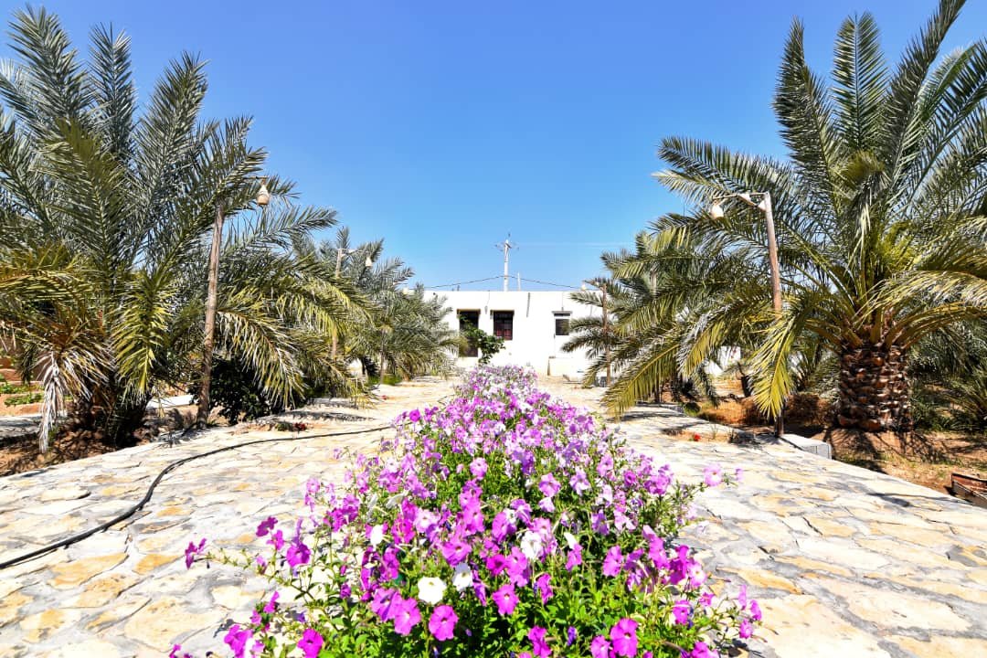 بوم گردی سلت - واحد چوپان