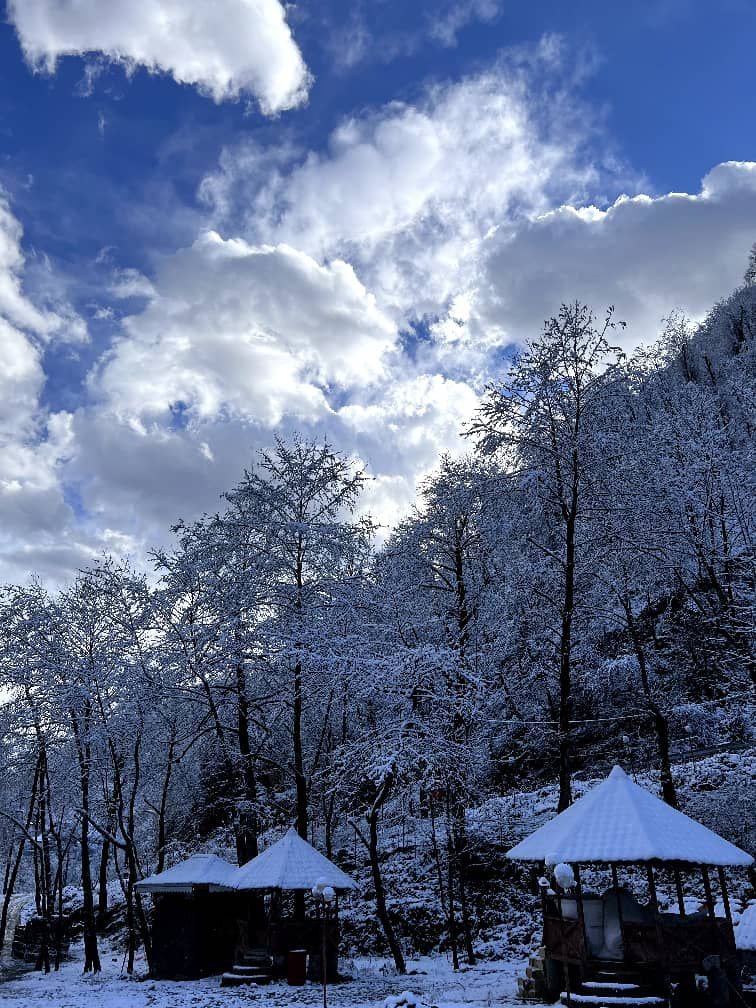 سیلوانه - واحد دوخوابه 208