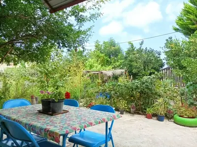 کلبه یک خوابه جنگلی آرامش