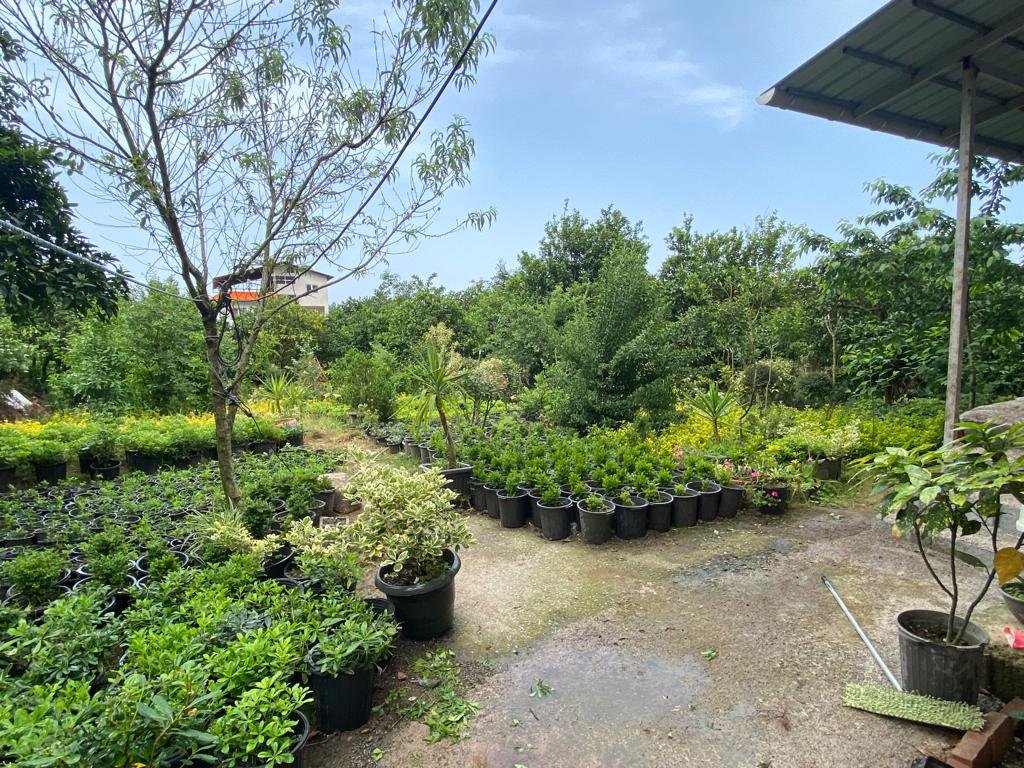 دوخوابه شقایق 1