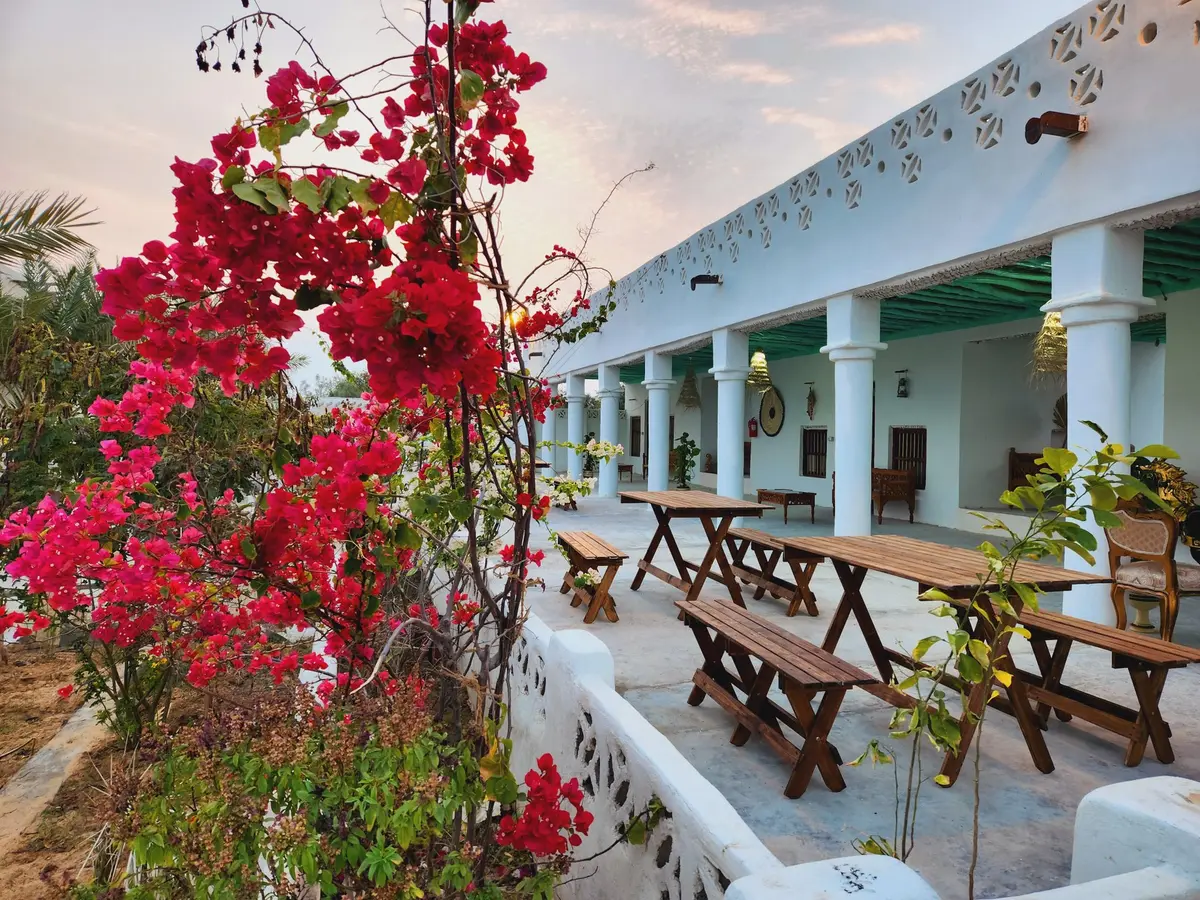 بوم گردی گمبرون - واحد ١٠٢