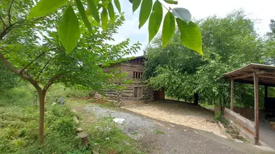 کلبه فلت فیروزجایی 1