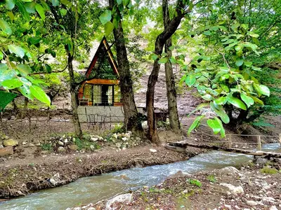 کلبه یک خوابه جنگلی میها