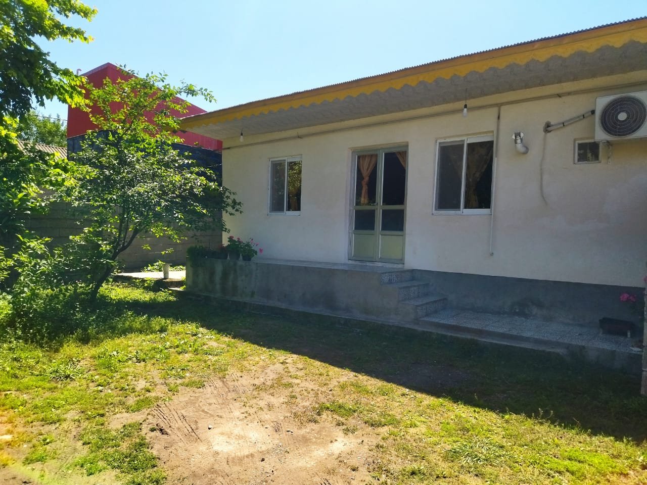 یک خوابه گل پامچال