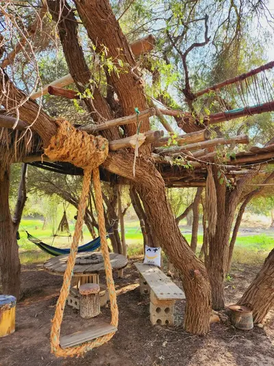 بومگردی طبيعت قشم - واحد لنگرگاه
