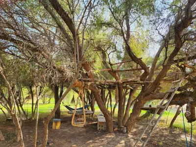 بومگردی طبيعت قشم - واحد گامبرون