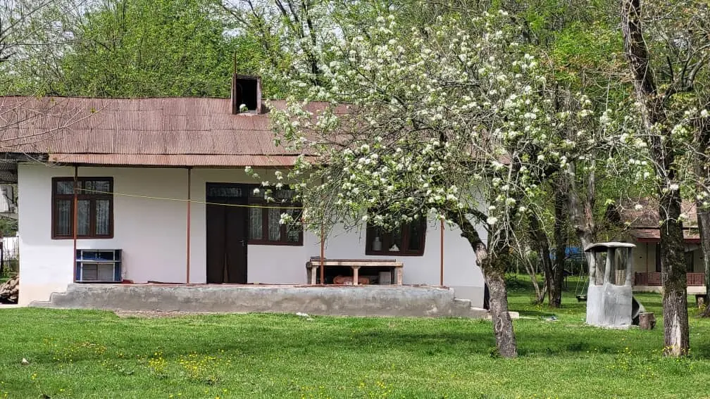 کلبه دوخوابه طبیعت 2