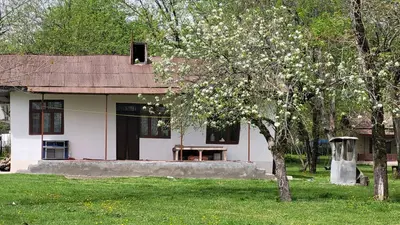 کلبه دوخوابه طبیعت 2