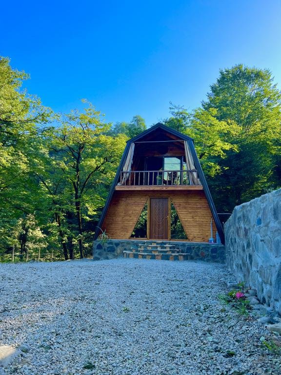 یک خوابه سوئیسی جنگلی نیما