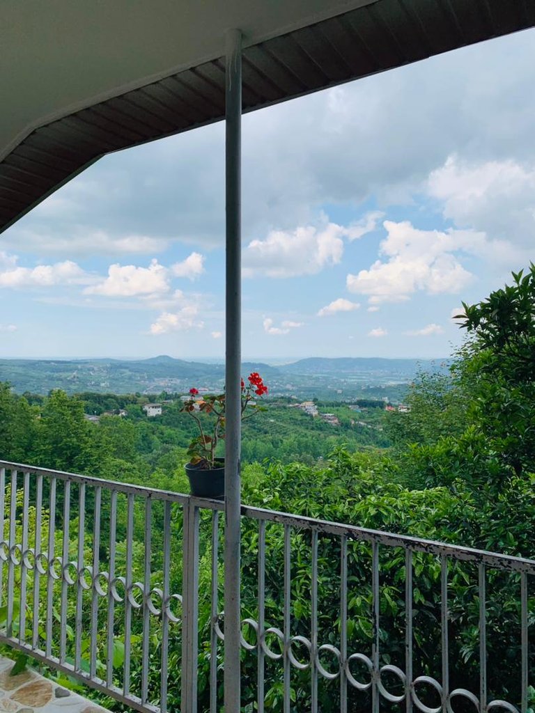 يک خوابه جنگلی شیرین