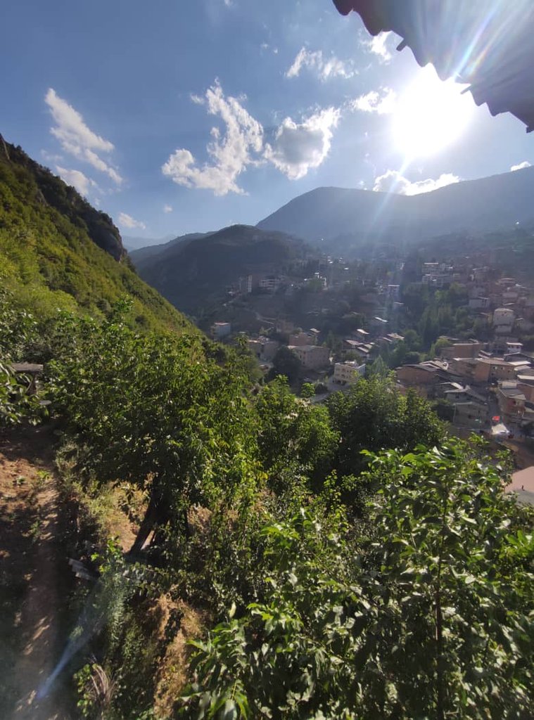 کلبه فلت جنگلی بام زیارت