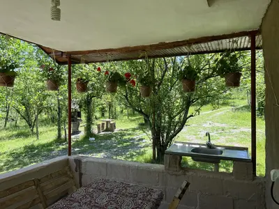 کلبه یک خوابه جنگلی آرامش 5