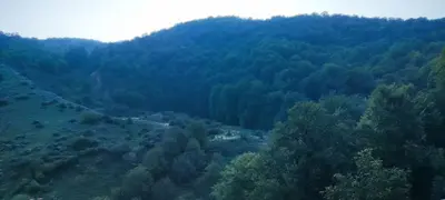 ویلا یک خوابه جنگلی پی دیم