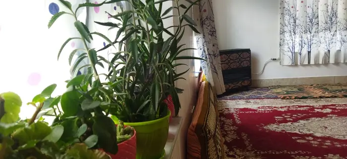 سوئیت یک خوابه اتا و انا - نمای داخل