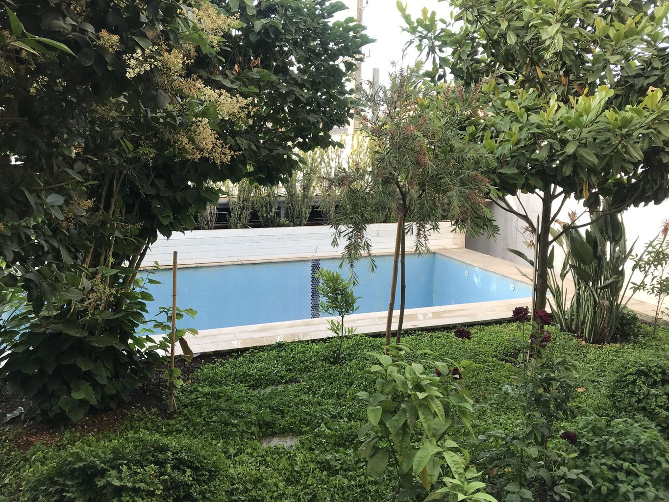 ویلا سه خوابه ساحلی استخردارآبگرم رسولی - محوطه جلو استخر