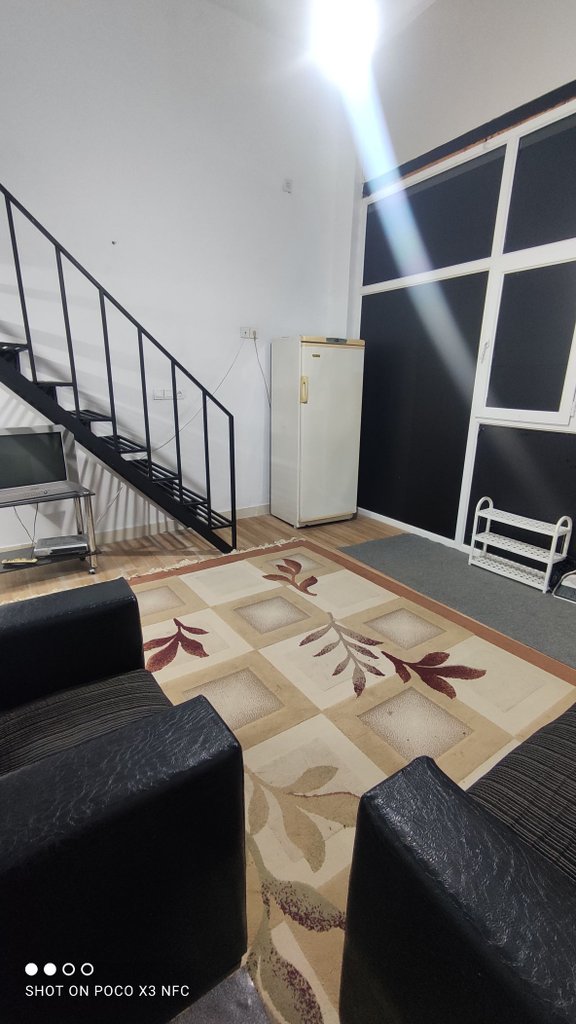 سوئیت فلت جنگلی رز 2