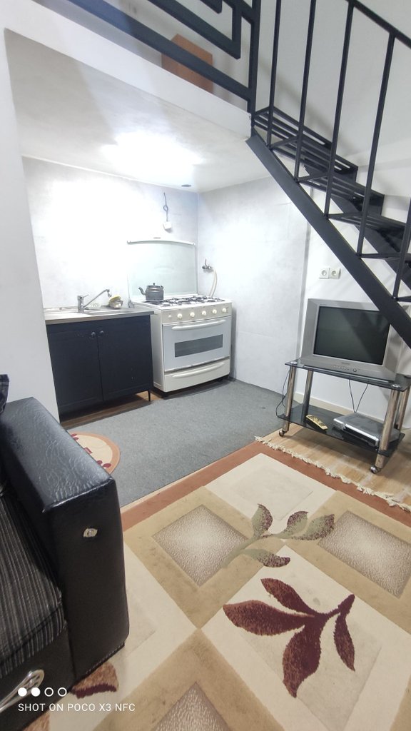 سوئیت فلت جنگلی رز 2