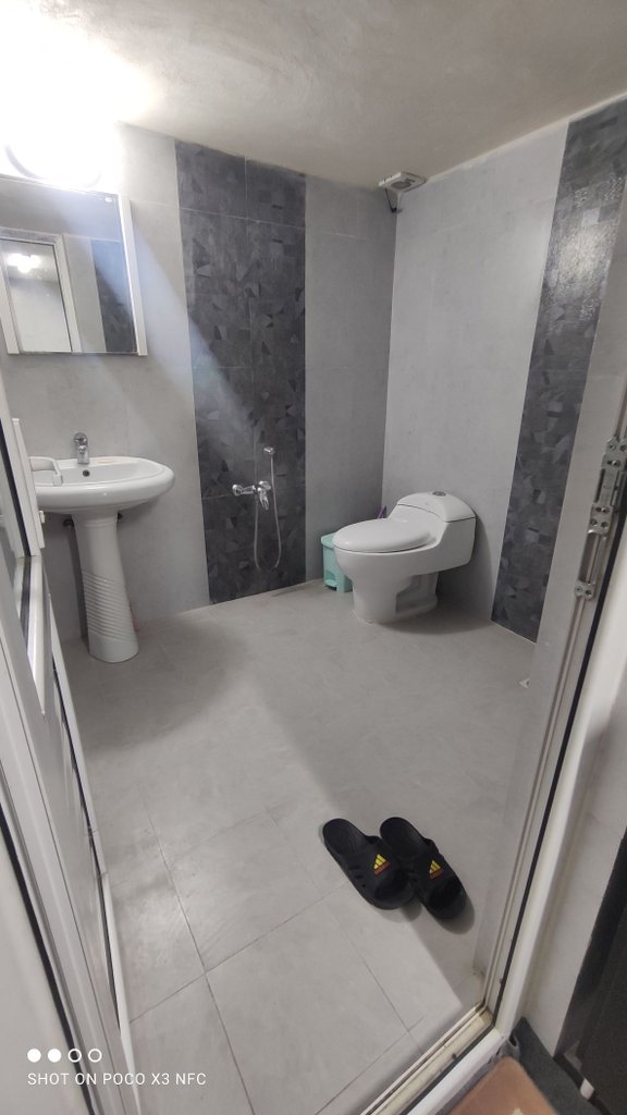 سوئیت فلت جنگلی رز 2