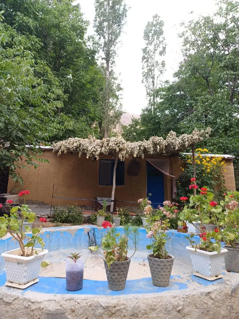 بوم گردی گلاویژ