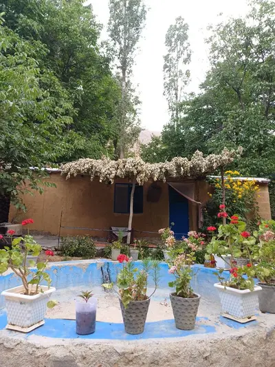 بومگردی گلاویژ