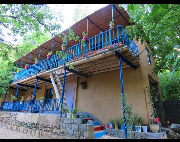بومگردی گلاویژ