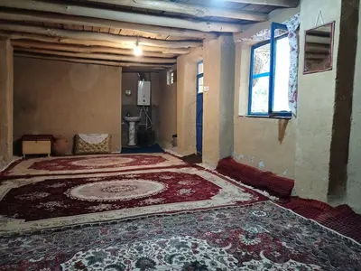 بومگردی گلاویژ