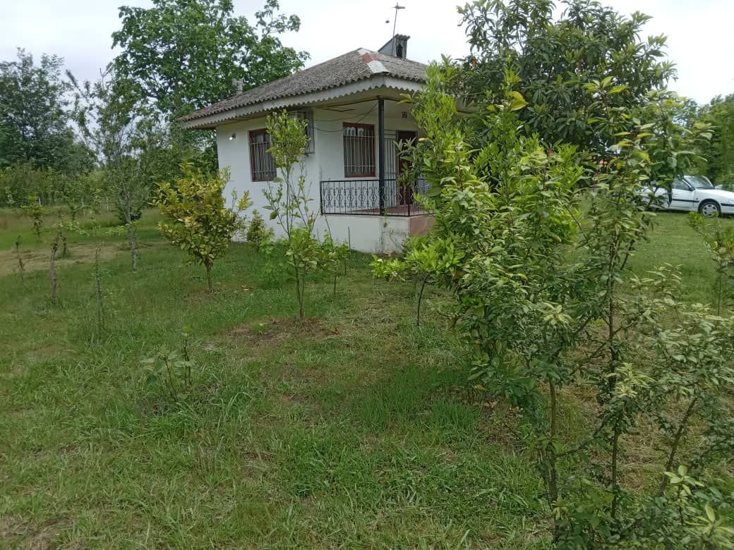 یک خوابه جنگلی زینعلی