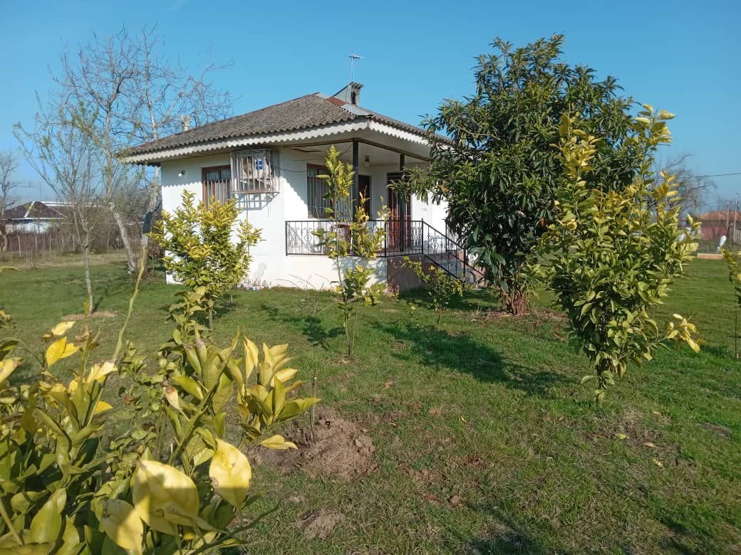 یک خوابه جنگلی زینعلی