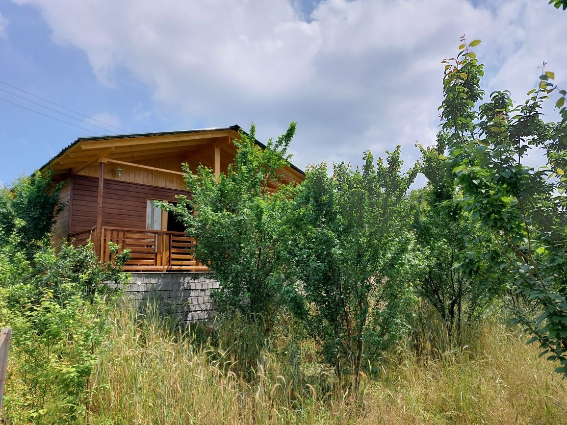 کلبه فلت چوبی رویایی بابلکنار - باغ