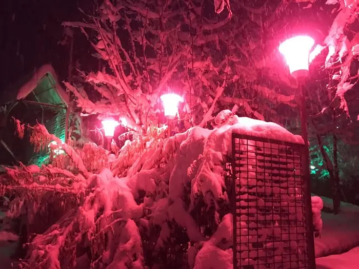 سوئیت فلت برفی - باغ