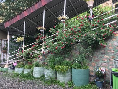 سوئیت فلت برفی