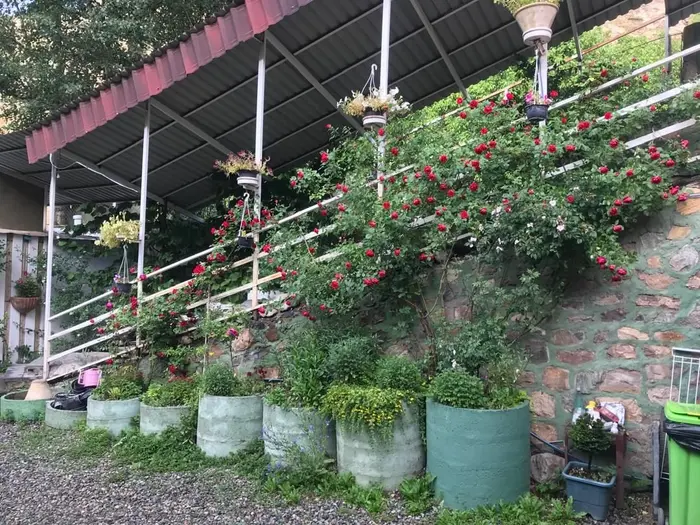 سوئیت فلت برفی - ورودی