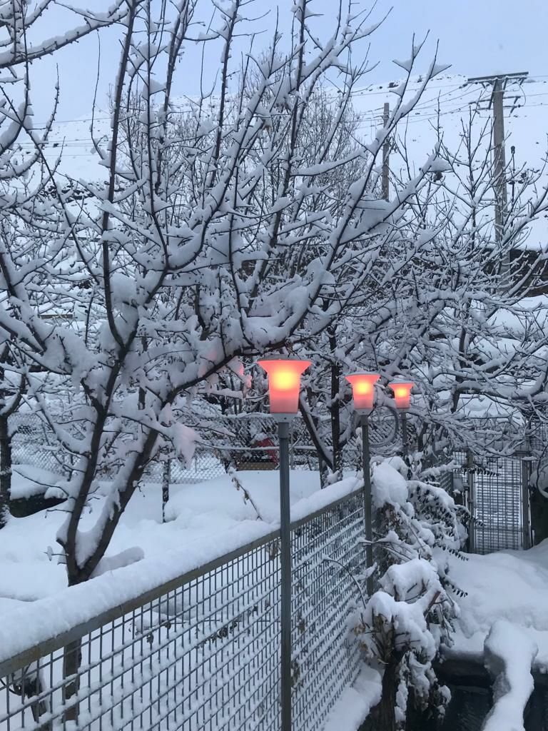 فلت ییلاقی فرزانه