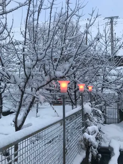 سوئیت فلت ییلاقی فرزانه