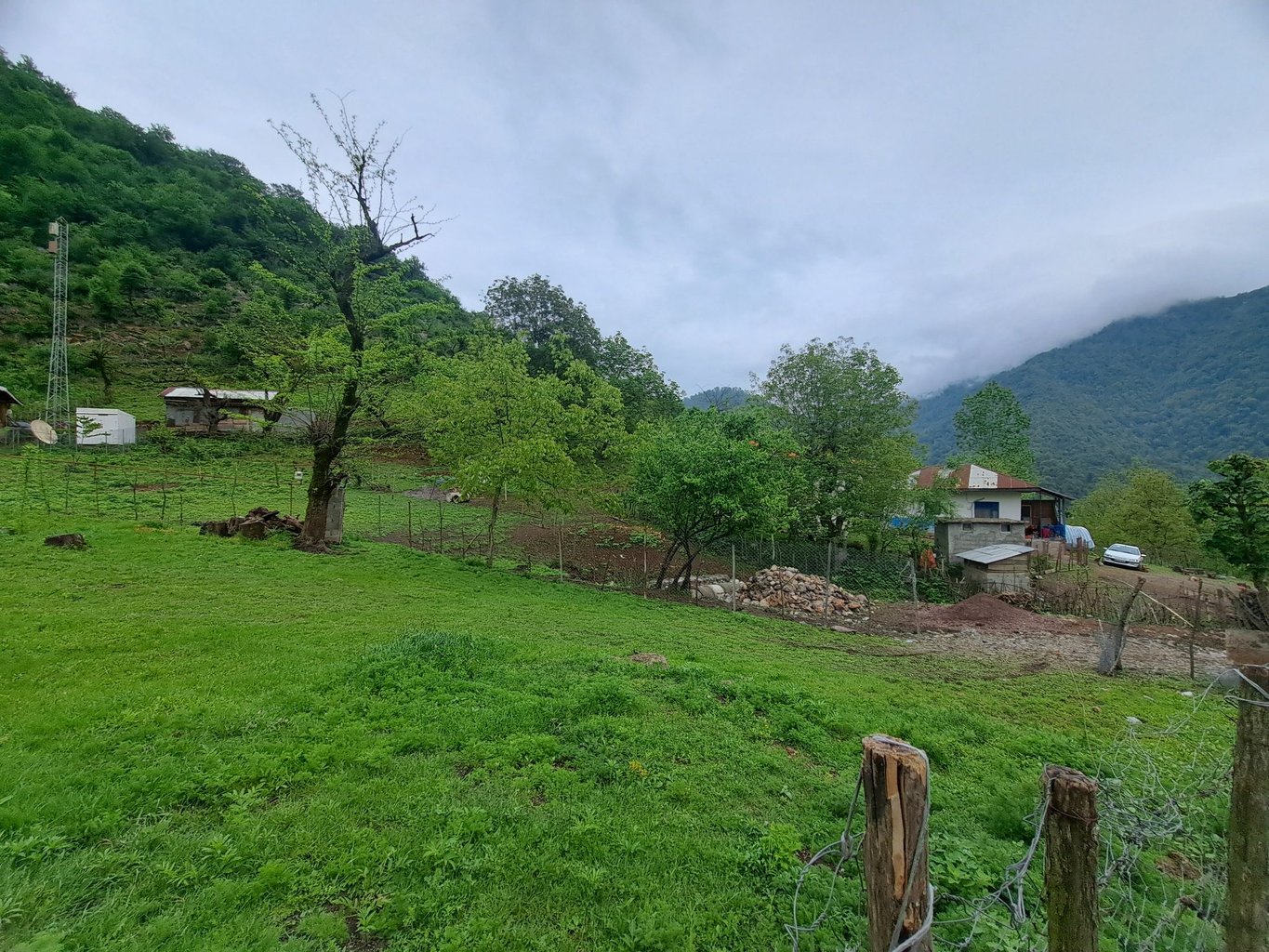 دوخوابه جنگلی امیر