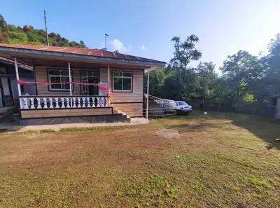 ویلا یک خوابه جنگلی شقایق