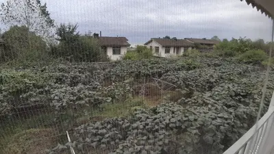 ویلا دوخوابه باغ اکبر