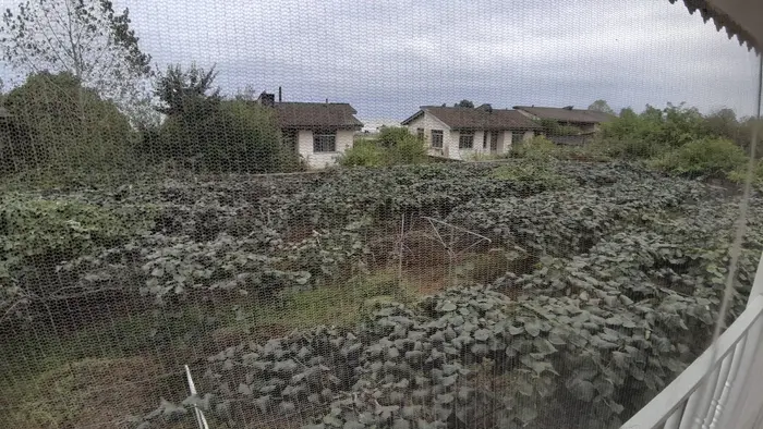 ویلا دوخوابه باغ اکبر - نمای بالکن ویلا