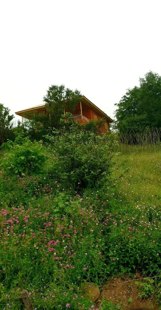 اقامتگاه سنتی مانگی - واحد کلبه