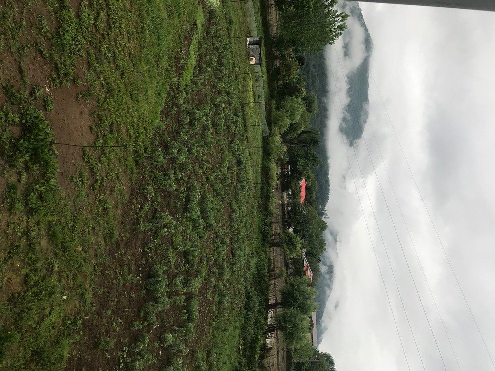 کلبه دوخوابه دوبلکس سوئیسی دیاموند