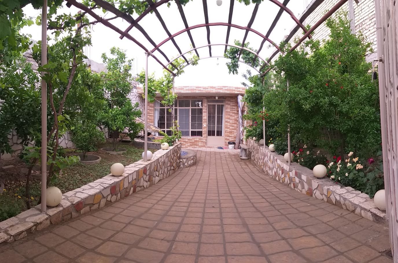 سوئیت یک خوابه باغچه