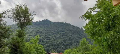 کلبه دوخوابه چوبی گردو