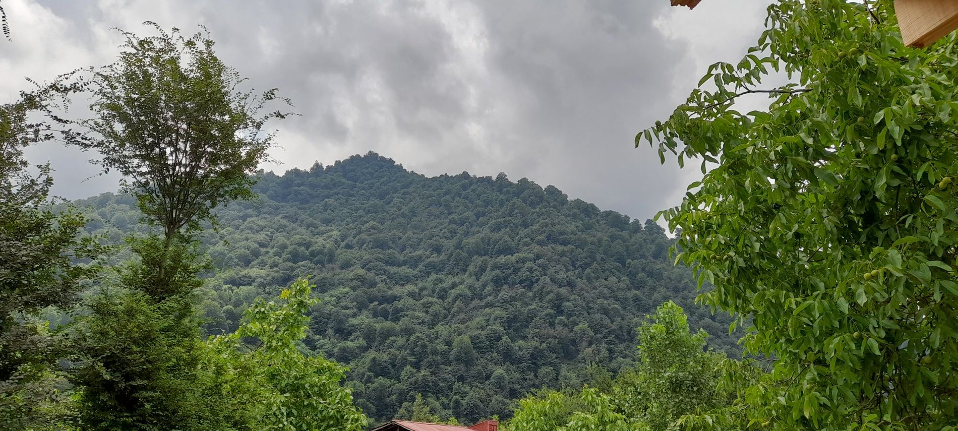 کلبه دوخوابه چوبی گردو - ویوی تراس