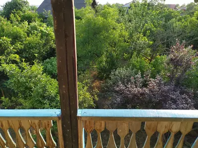 بومگردی دوخوابه خونه باغ