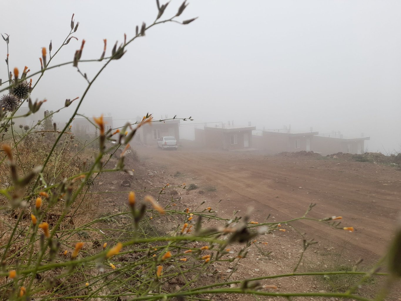 سوئیت یک خوابه یاشیل ۵