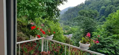 ویلا دوخوابه جنگلی سام ۲