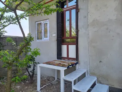 سوئیت فلت باغ جنگلی باران