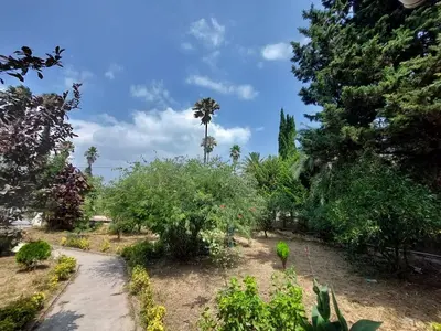 ویلا سه خوابه طبیعت سبز